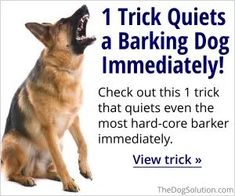 a german shepherd dog barking with its mouth wide open and the words, 1 trick quiets a barking dog immediately