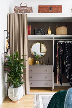 the closet is full of clothes and other items, including a potted green plant