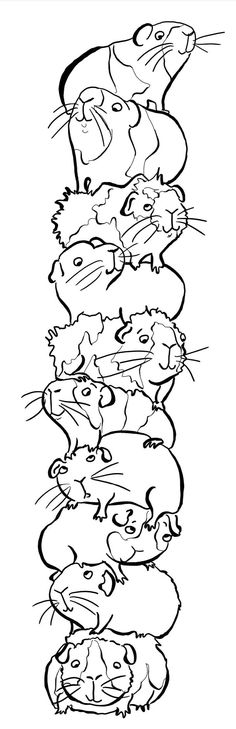 a line drawing of cats with their heads in the same direction, all lined up