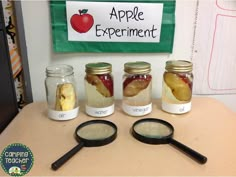 four jars filled with apple slices and some magnifying glass on top of a table