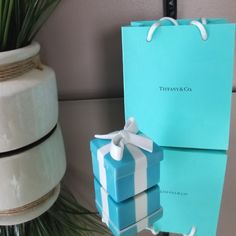 two blue gift bags sitting next to each other on top of a table in front of a plant