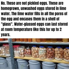 there are many eggs in jars on the shelf