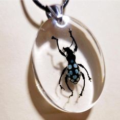 a bug in a glass pendant on a white surface