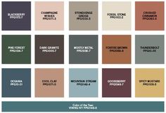 the color scheme for different paint colors