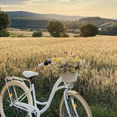 a white bicycle parked in front of a field with flowers on the handlebars