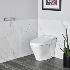 a white toilet sitting in a bathroom next to a potted plant on top of a tiled floor