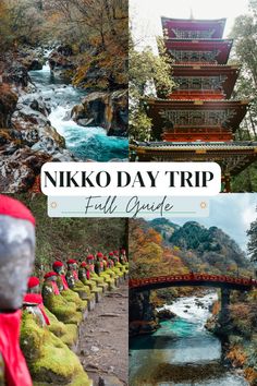 the niko day trip is full of things to see and do, including an image of