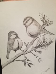 two birds sitting on a branch with flowers in the foreground and one bird perched on it's back