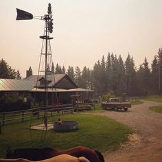 horses are grazing in the grass next to a farm with a windmill and old cars