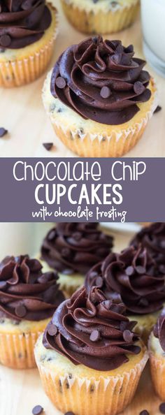 chocolate chip cupcakes with chocolate frosting on top