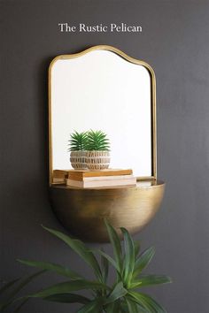 a potted plant sitting on top of a mirror next to a wall mounted shelf