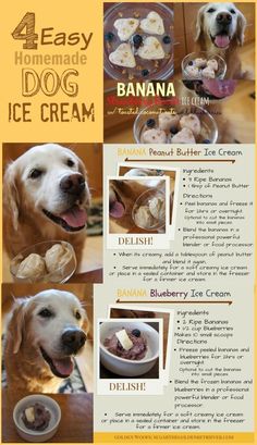 an advertisement for the 4 easy homemade dog ice cream