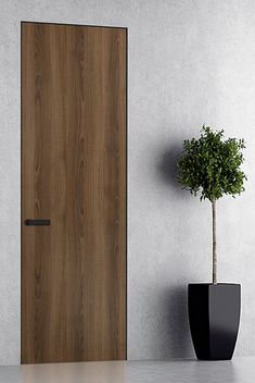 a potted plant sitting next to a wooden door in a white room with concrete walls