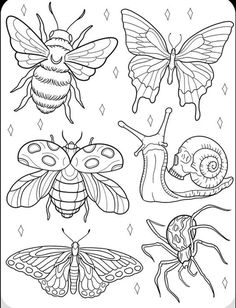 coloring pages for kids with bugs and insects in black and white, on a sheet of paper