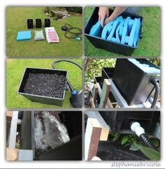 four pictures show different stages of cleaning and disinfectioning the garden plants