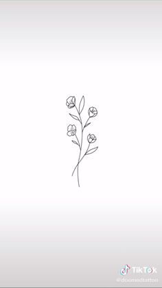 a line drawing of flowers on a white background