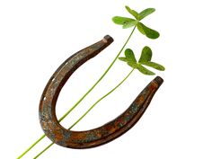 an old rusted horseshoe with some green plants growing out of the top and bottom