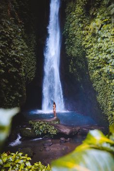 a woman standing in front of a waterfall surrounded by lush green plants and trees,