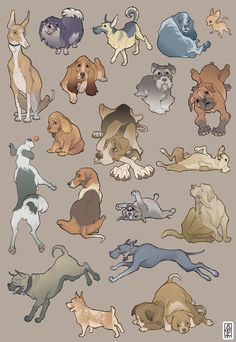 a bunch of dogs that are all different colors