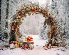 an arch made out of branches and fruit is in the middle of a snowy forest