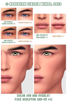 an image of different types of eyes and eyebrows for males to see in the game