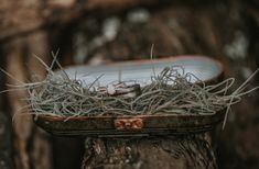 a basket filled with grass sitting on top of a tree