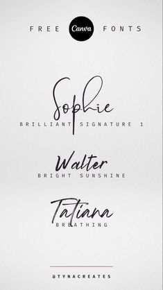 some type of font that is in different colors and sizes, with the names below it