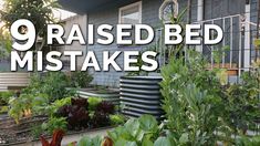 a garden filled with lots of green plants next to a gray building and the words 9 raised bed mistakes