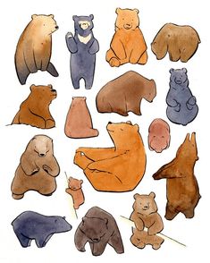 watercolor and ink drawings of different types of bears on a white background, each bear has its own unique shape