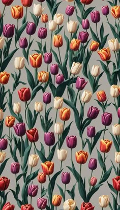 an image of many different colored tulips on a gray background with green leaves