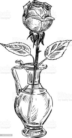 a black and white drawing of a vase with a rose in it stock photo, royalty