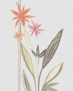 an image of some flowers on a white and gray background png clipart free for personal use