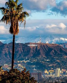 the city is surrounded by mountains and palm trees in front of it, with snow capped mountains in the background