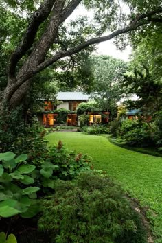 a lush green yard surrounded by trees and bushes