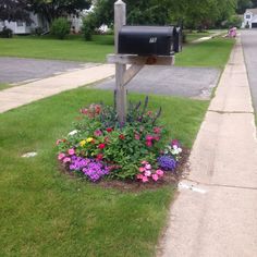 a mailbox in the middle of a flower bed with flowers growing out of it