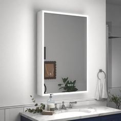 a bathroom sink with a large mirror above it and a plant on the counter top