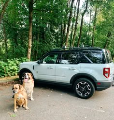 two dogs are standing in front of a car on the side of the road with trees behind them