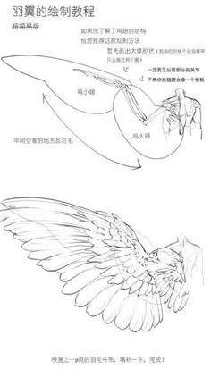 an image of a bird with its wings spread out and the words written in chinese