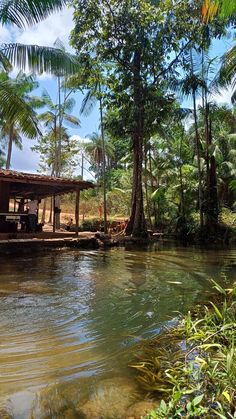 there is a small hut in the middle of some water and palm trees around it