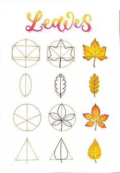 the leaves are drawn in different shapes and sizes, with words above them that read leaves