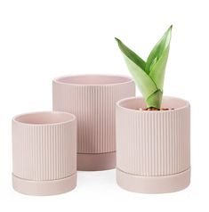 three pink planters sitting next to each other