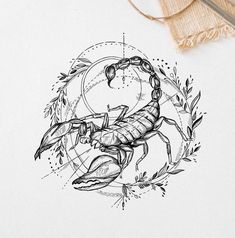 a black and white drawing of a scorpion in a circle with leaves on the side