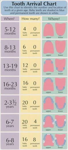 Dental Assisting, Baby Massage, Dental Assistant, Baby Development, Dental Hygiene, Baby Time, Shark Teeth, Baby Tips