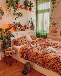 a cat sitting on top of a bed in a room with plants and potted plants