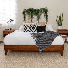 a bed with two plants on the wall above it and a black and white blanket