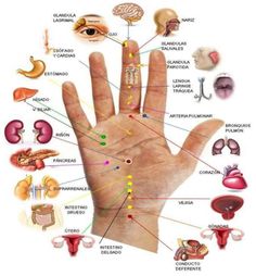 Reflexology Foot Chart, Hand Reflexology, Reflexology Chart, Foot Reflexology, Trening Fitness, Health And Fitness Articles, Healing Oils