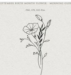 a flower is shown in black and white with the words, november birth month flowers morning glory