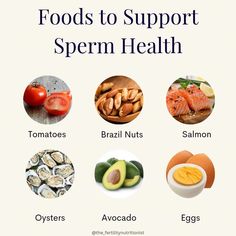 Healthy Pregnancy Diet, Pregnancy Diet, Lower Back Pain Exercises, Salmon Avocado, Male Fertility, Pregnant Diet, All Time Low