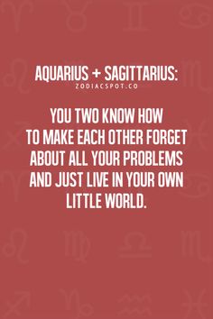 the quote for aquarius and sagitaurs you two know how to make each other