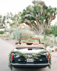 an old car decorated with greenery is parked on the side of the road in front of cactus trees